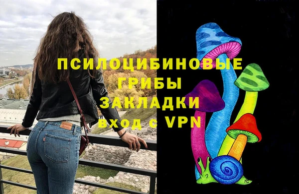 ПСИЛОЦИБИНОВЫЕ ГРИБЫ Алзамай