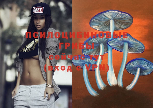 молекула духа Алексин