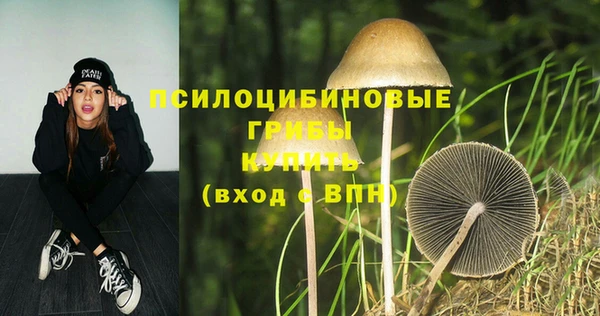 молекула духа Алексин