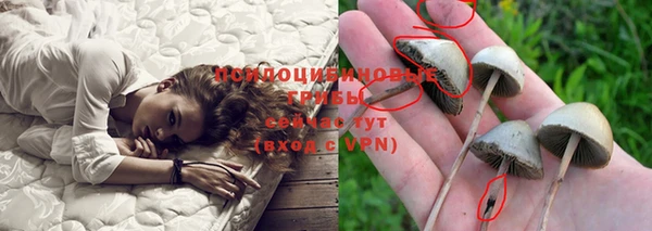 бошки Магадан
